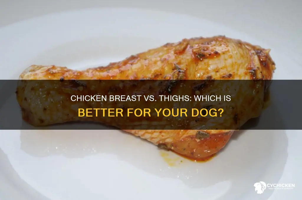 which is better for dogs chicken breast or thighs
