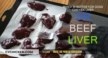 Chicken vs Beef Liver: Which is Better for Dogs?