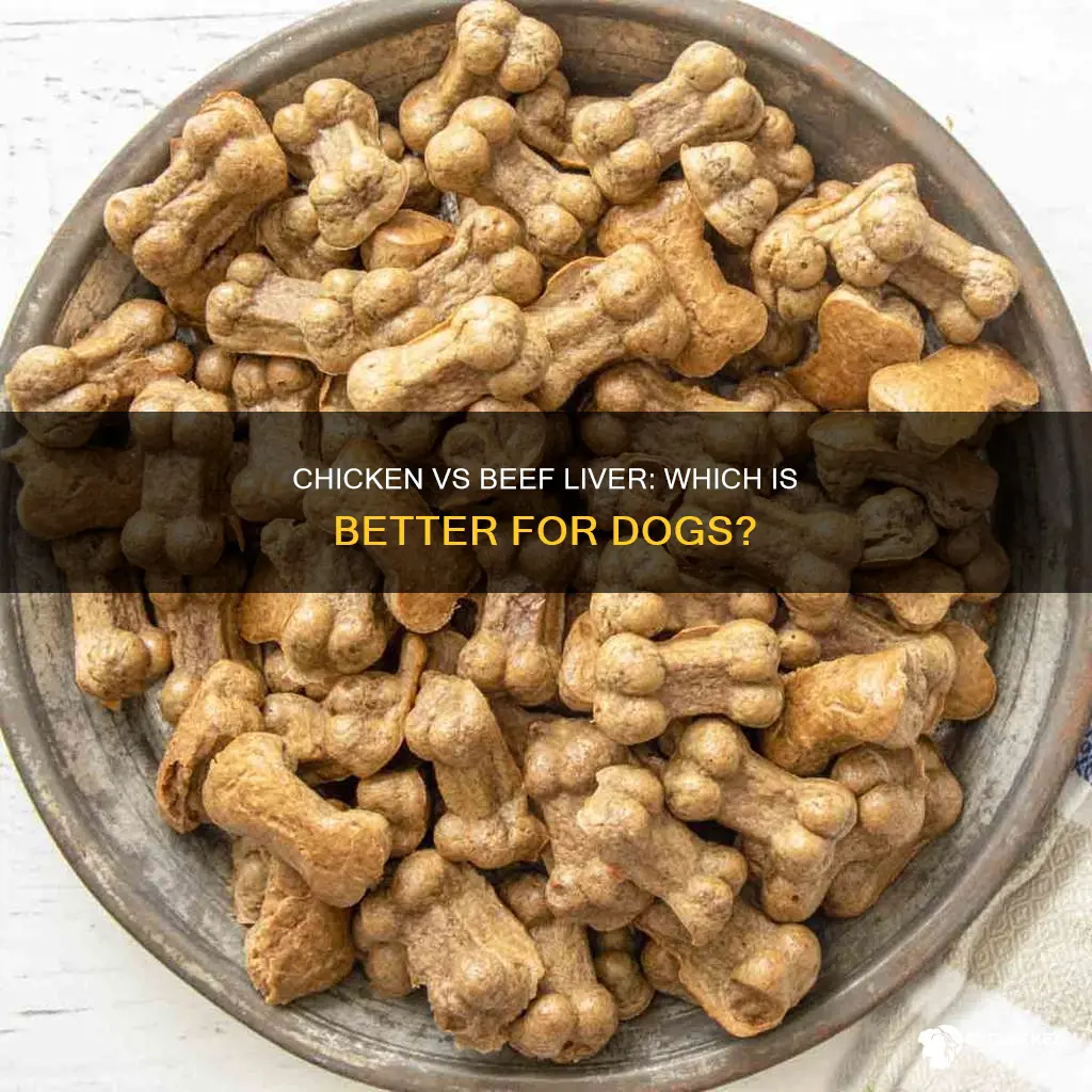 which is better for dogs chicken liver or beef liver