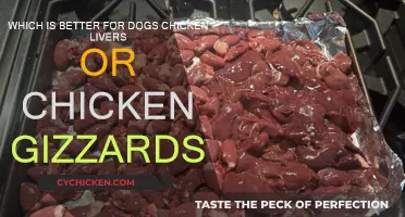 Chicken Gizzards vs. Livers: What's Best for Your Dog?