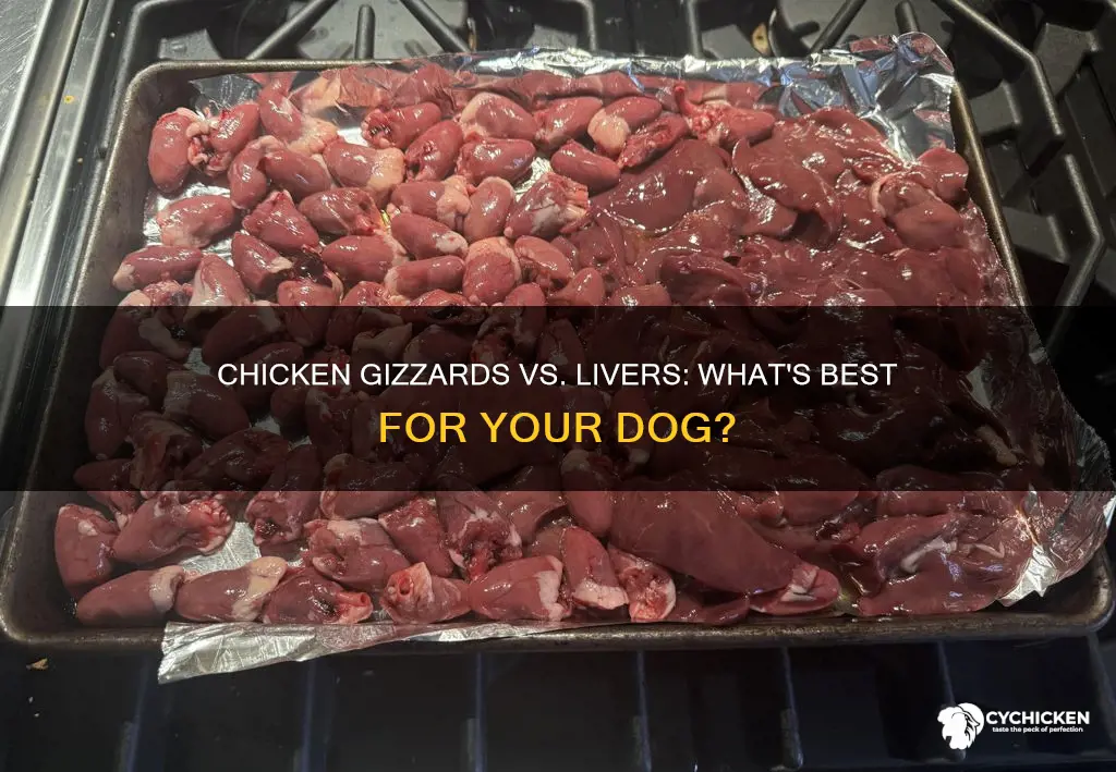 which is better for dogs chicken livers or chicken gizzards