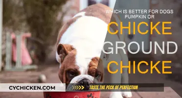 Ground Chicken vs Pumpkin: What's Best for Your Dog?