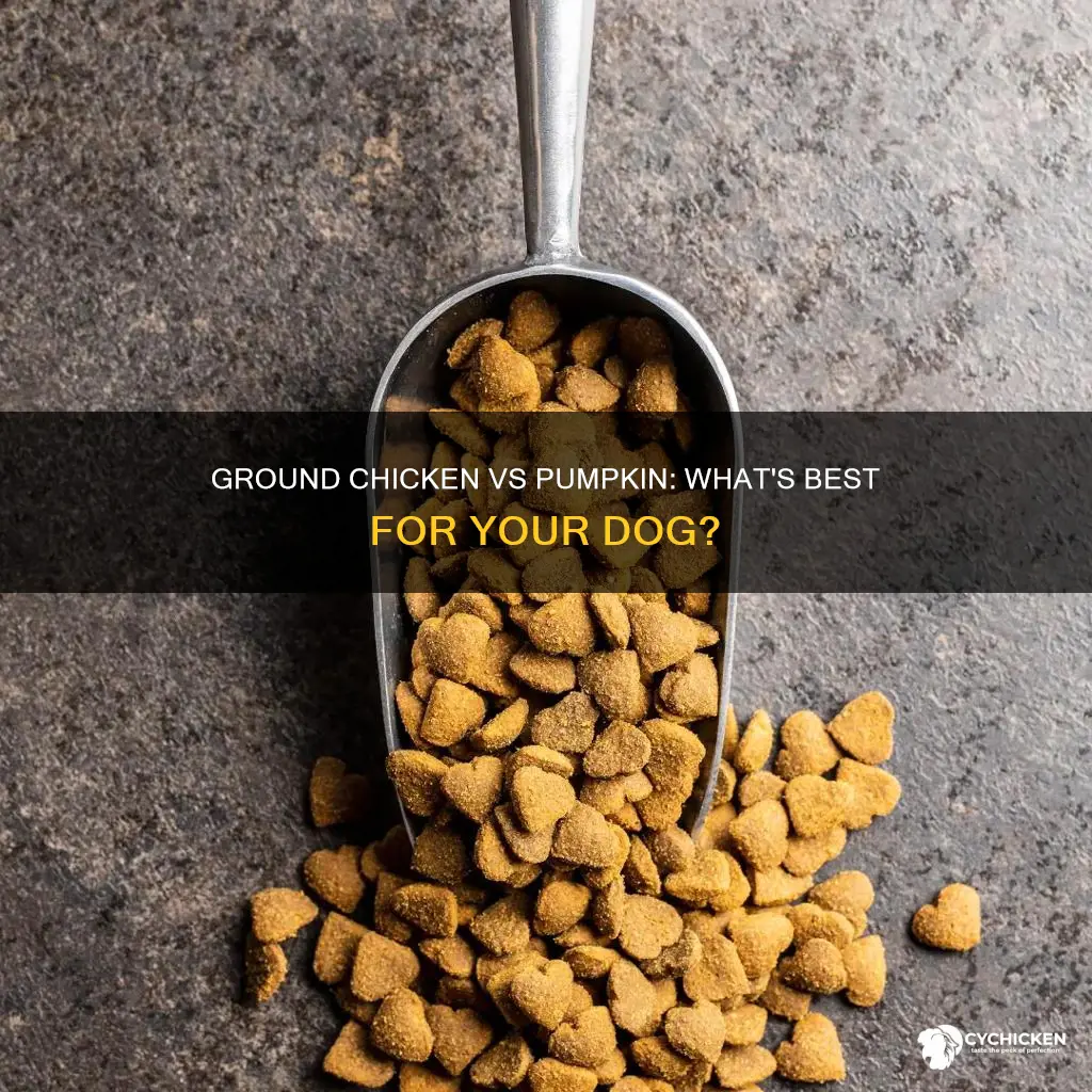 which is better for dogs pumpkin or chicken ground chicken
