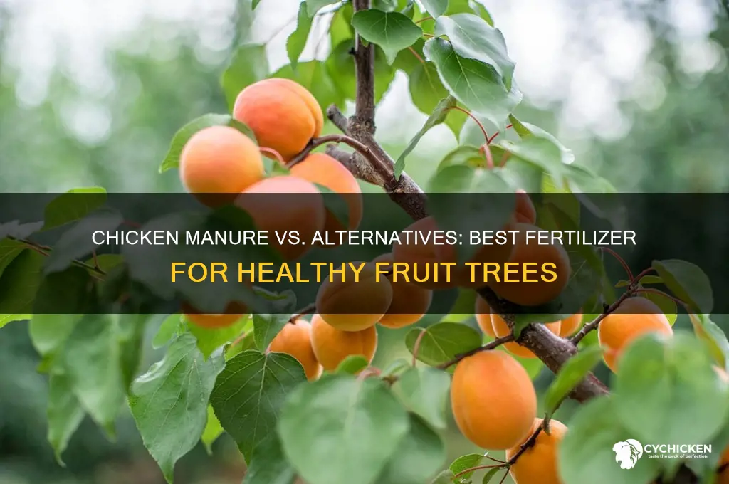 which is better for fruit trees chicken manure