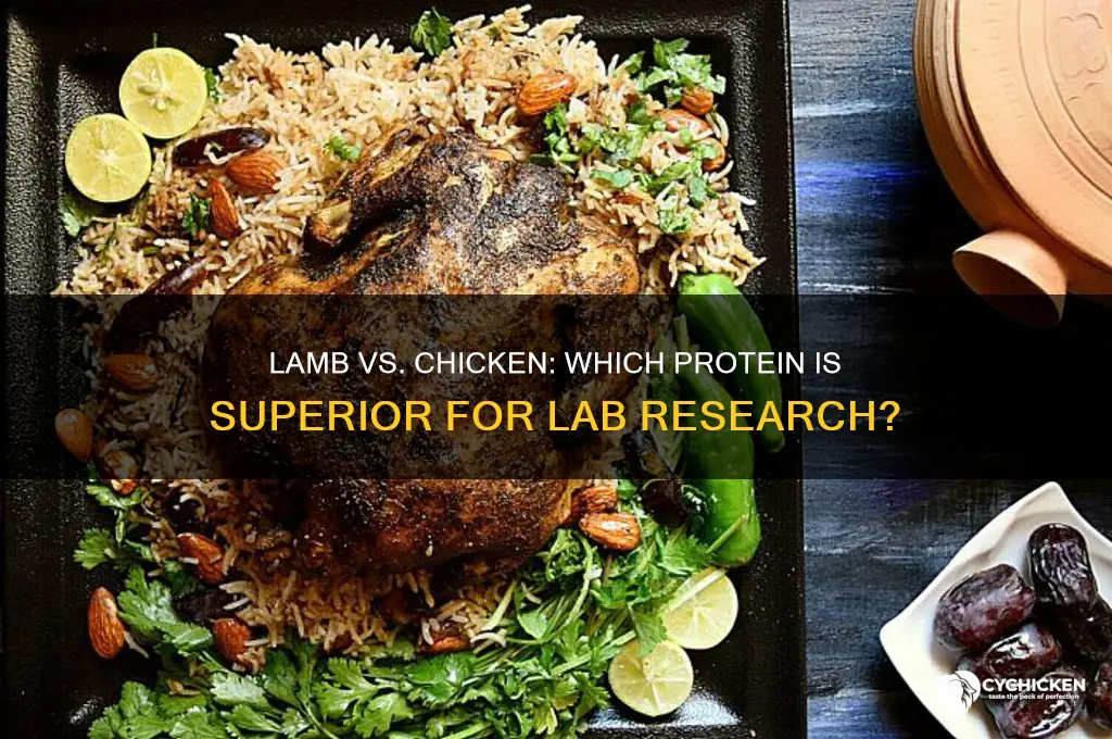 which is better for labs lamb or chicken