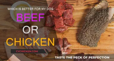 Meat for Dogs: Chicken or Beef?
