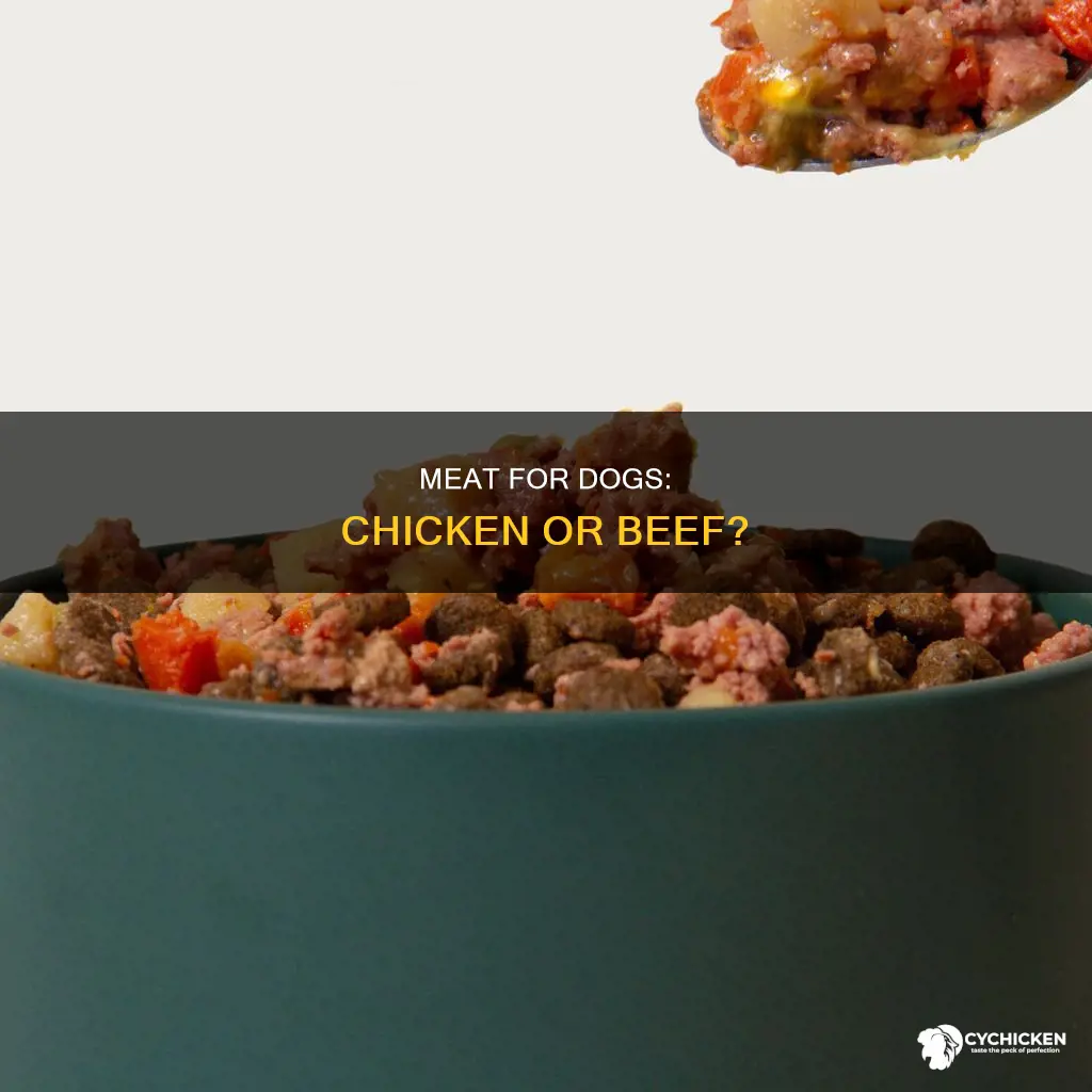 which is better for my dog beef or chicken