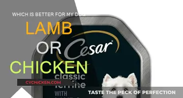 Lamb vs. Chicken: Which Meat is Better for Your Dog?