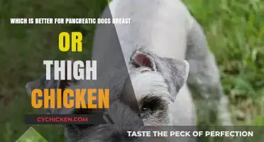 Breast vs. Thigh Chicken: Best Choice for Pancreatic Dogs?