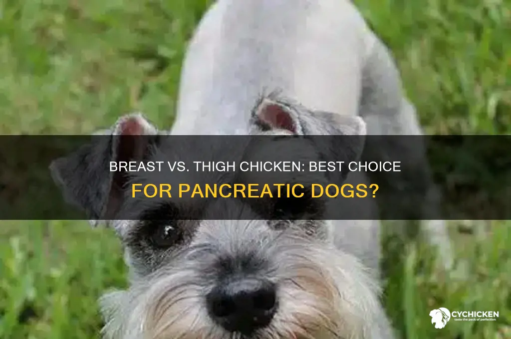 which is better for pancreatic dogs breast or thigh chicken