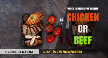 Chicken vs. Beef: Which Protein Source Fuels Your Body Better?