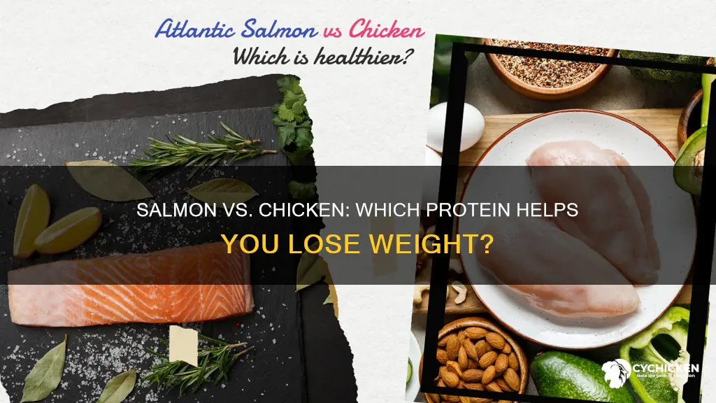 which is better for weight loss salmon or chicken