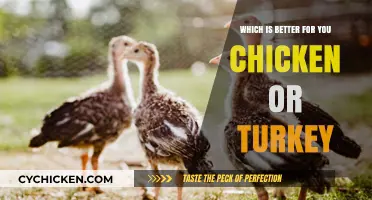 Chicken vs. Turkey: Which Lean Protein Boosts Your Health More?