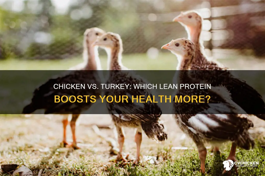 which is better for you chicken or turkey