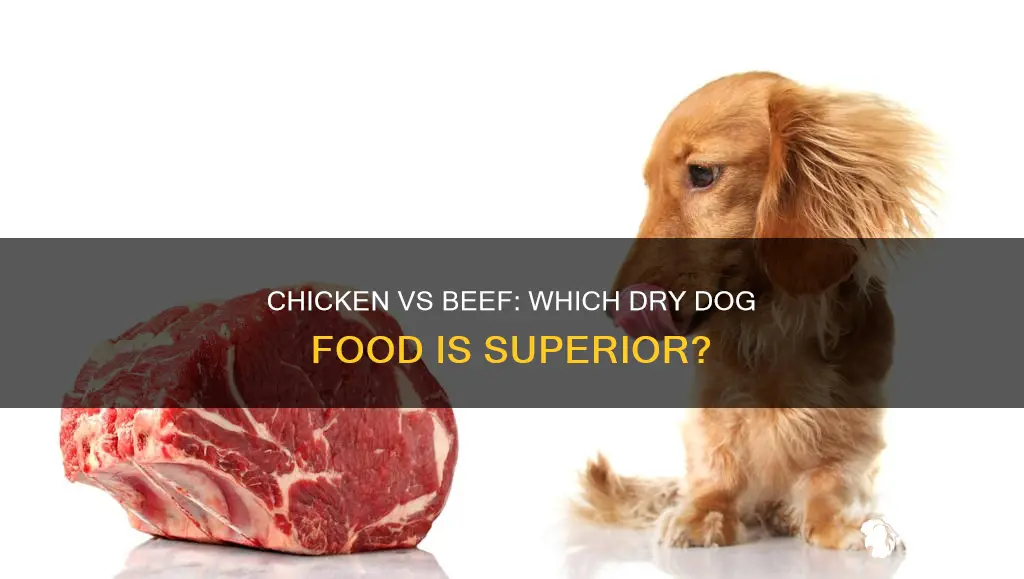 which is better in dry dog food chicken or beef