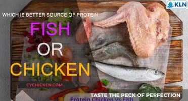 Chicken vs Fish: The Ultimate Protein Source