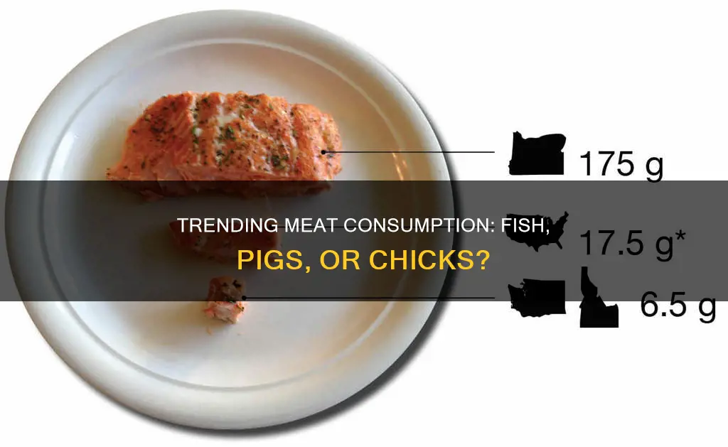 which is consumed the leaste fish pigs or chick