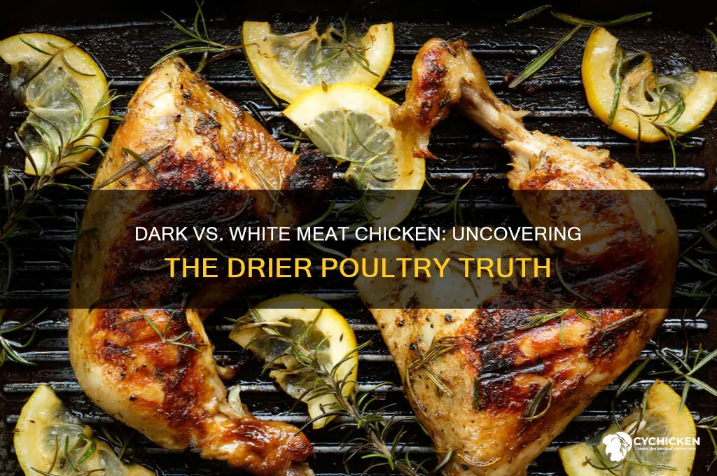 which is drier dark or white meat chicken