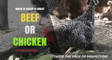 Beef vs. Chicken: Which Protein is Easier on Your Digestive System?