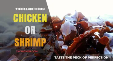 Chicken vs. Shrimp: Which Protein is Easier to Digest?
