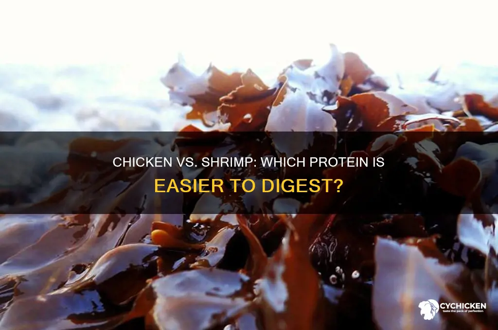 which is easier to digest chicken or shrimp