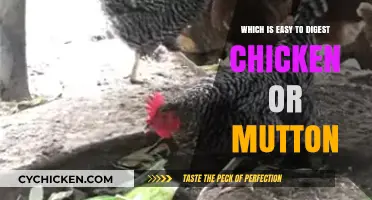 Chicken vs. Mutton: Which Protein is Easier to Digest?