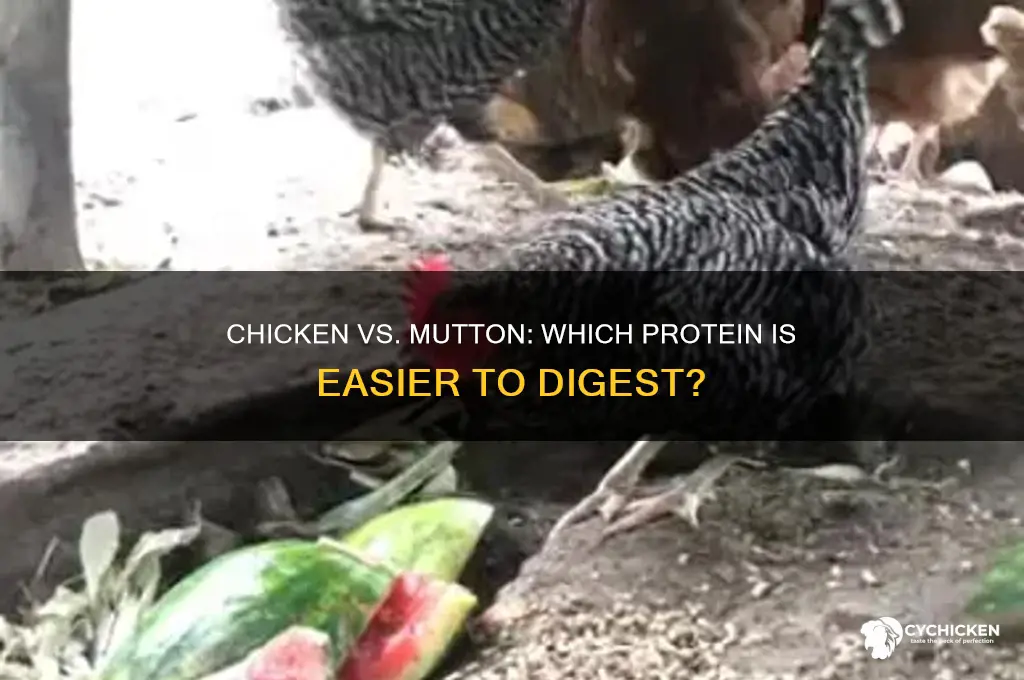 which is easy to digest chicken or mutton