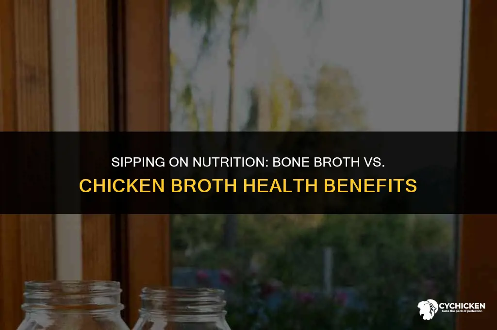 which is healthier bone broth or chicken broth