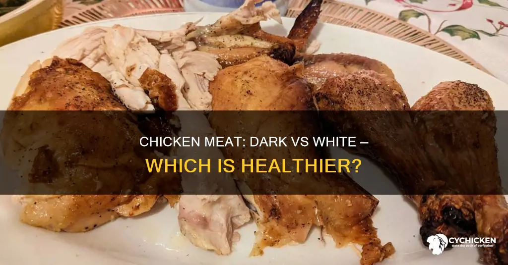which is healthiest meat in chicken dark or white