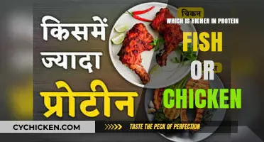 Fish vs. Chicken: Which Protein Source Reigns Supreme?