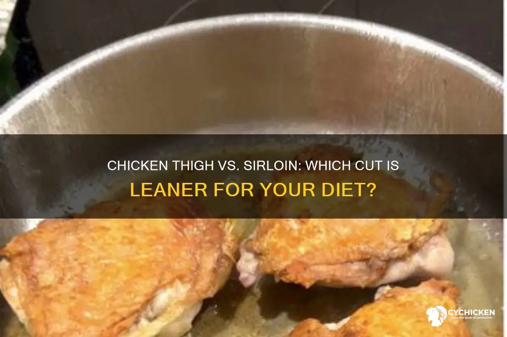 which is leaner chicken thigh or sirloin