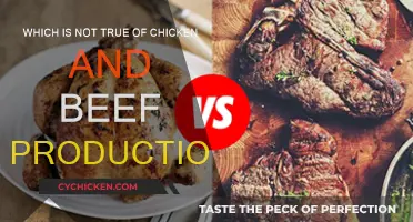 Meat Production: Chicken and Beef Myths Debunked