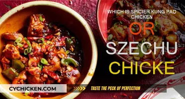 Kung Pao vs. Szechuan Chicken: Which Dish is Spicier?