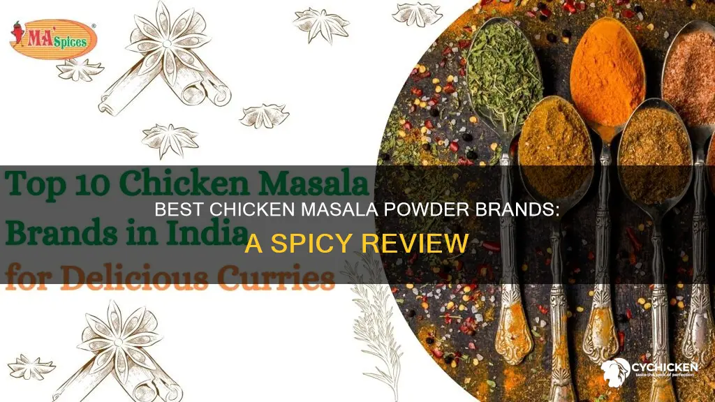 which is the best brand of chicken masala powder