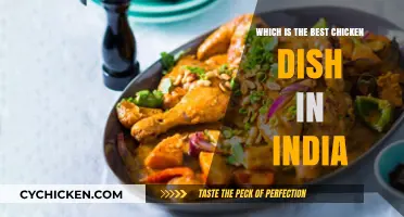 India's Top Chicken Delicacies: A Culinary Journey to Find the Best