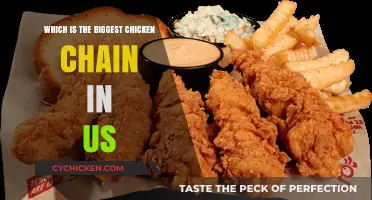 America's Top Chicken Chain: Unveiling the Largest in the US