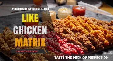 Why Everything Tastes Like Chicken: Unraveling the Flavor Matrix