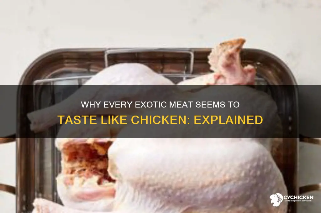 which is why everything tastes like chicken