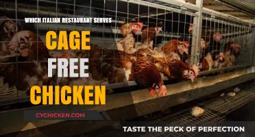Savoring Freedom: Italian Eateries Serving Cage-Free Chicken Delights