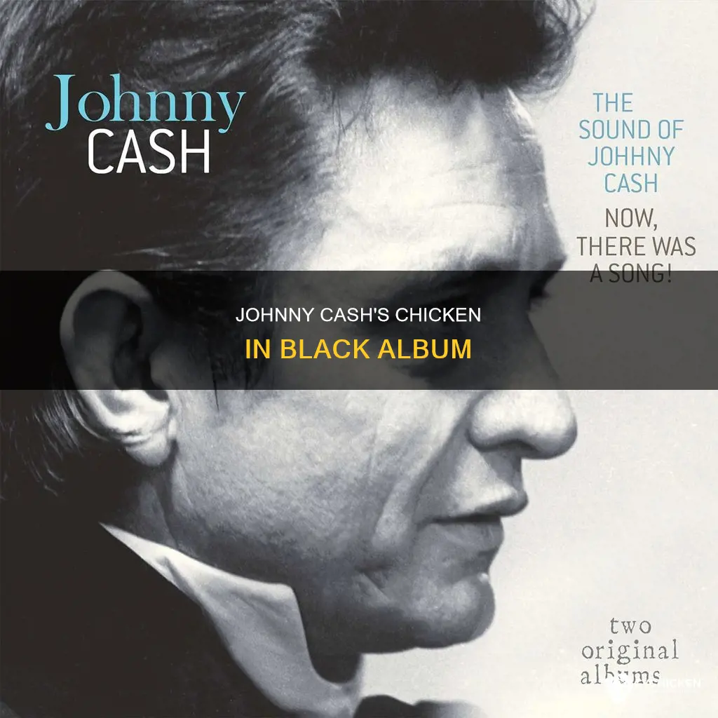 which johnny cash album contains the song chicken in black