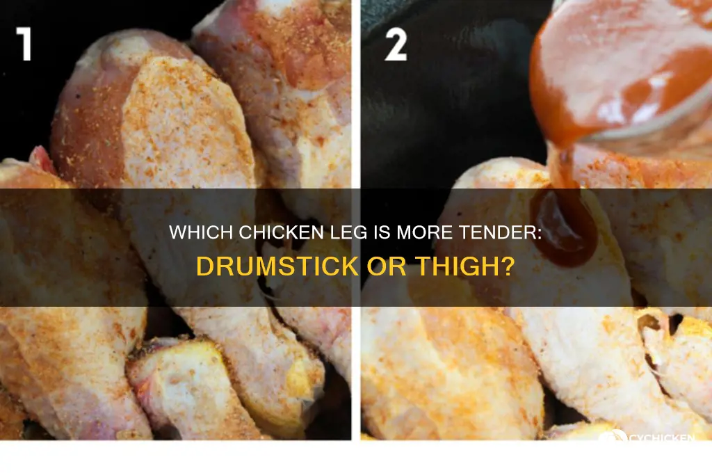 which leg of a chicken is more tender