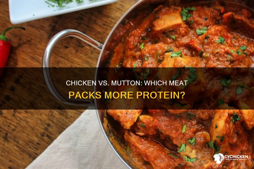 which meat has more protein chicken or mutton