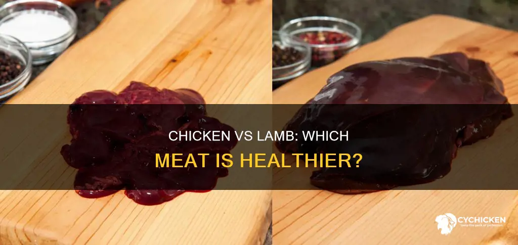which meat is better for you lamb or chicken