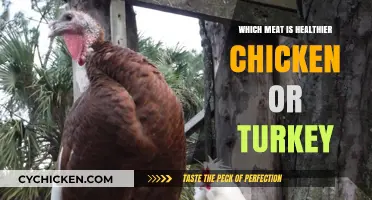 Unveiling the Healthier Choice: Chicken vs. Turkey Showdown