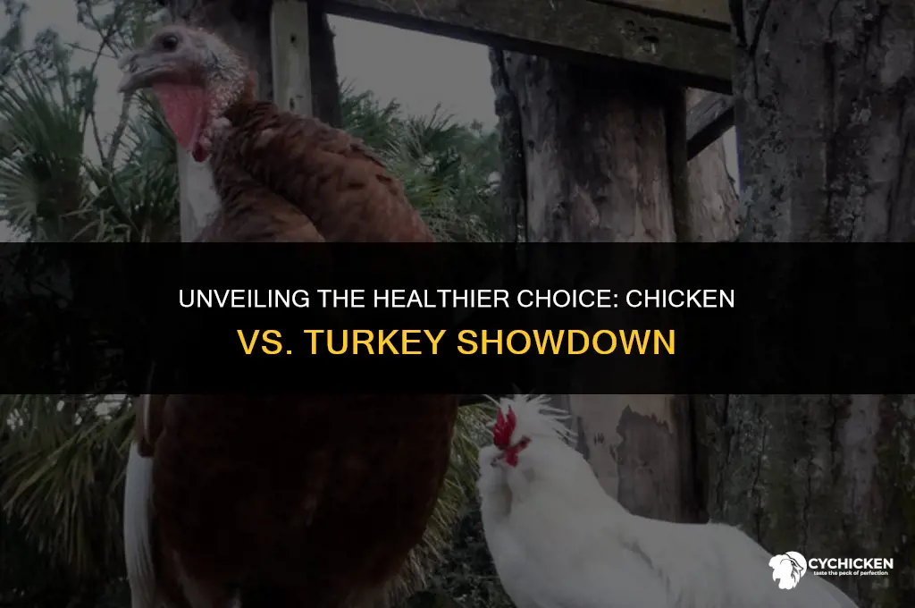 which meat is healthier chicken or turkey