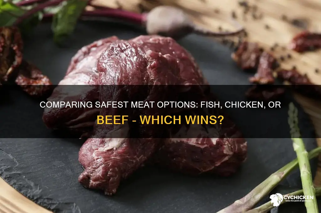 which meat is safest fish chicken or beef