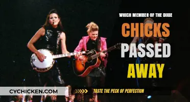 Remembering the Dixie Chicks Member Who Sadly Passed Away