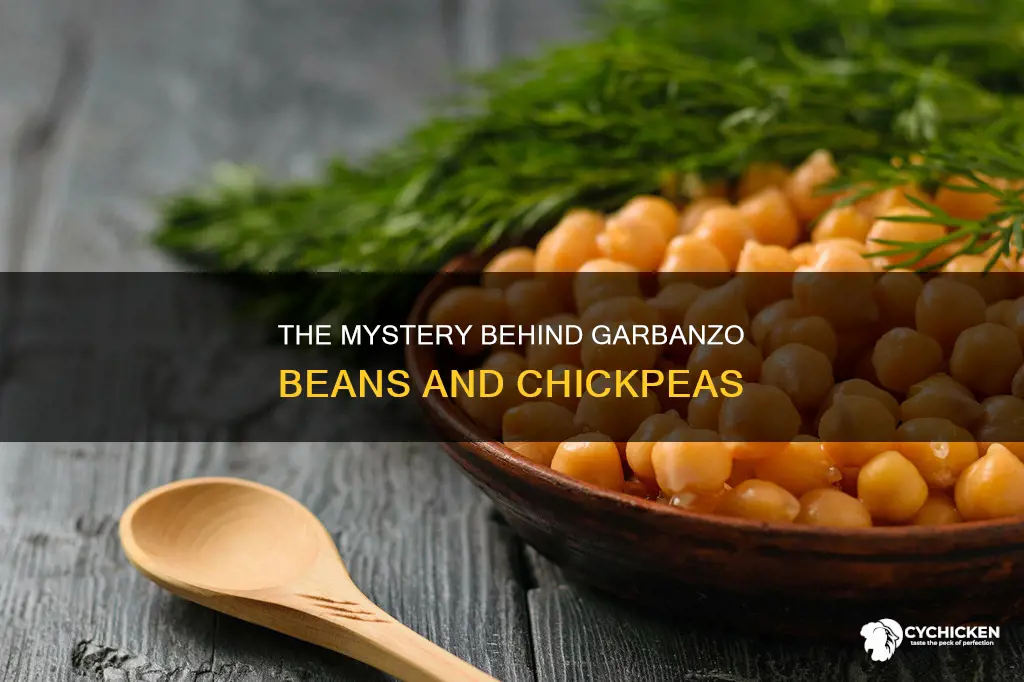 which name came first garbanzo beans or chick peas