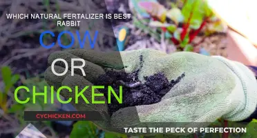 Natural Fertilizer: Rabbit, Cow, or Chicken?