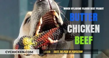 Peanut Butter, Chicken, or Beef: Top Nylabone Flavor Picks